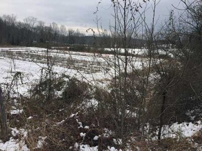 Wishful Thinking Image